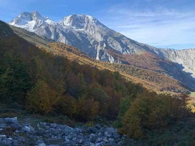 Cumbres De Los Picos Apartamento Buhos Poo  Eksteriør bilde